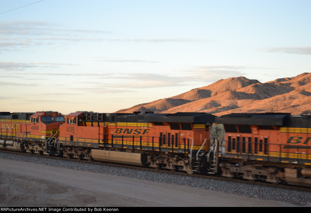 BNSF 8239